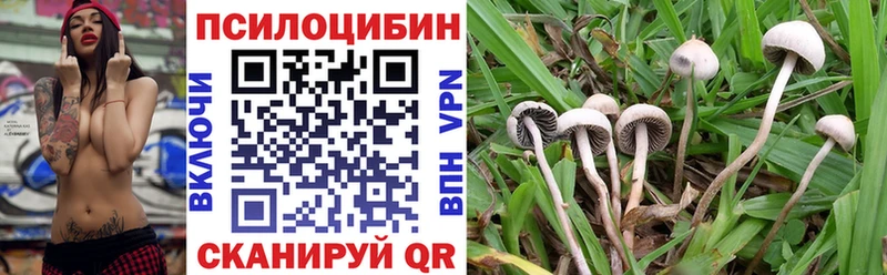 ОМГ ОМГ Лесной Галлюциногенные грибы Psilocybine cubensis