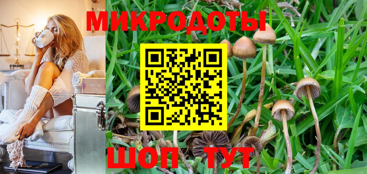 Галлюциногенные грибы GOLDEN TEACHER  Лесной 