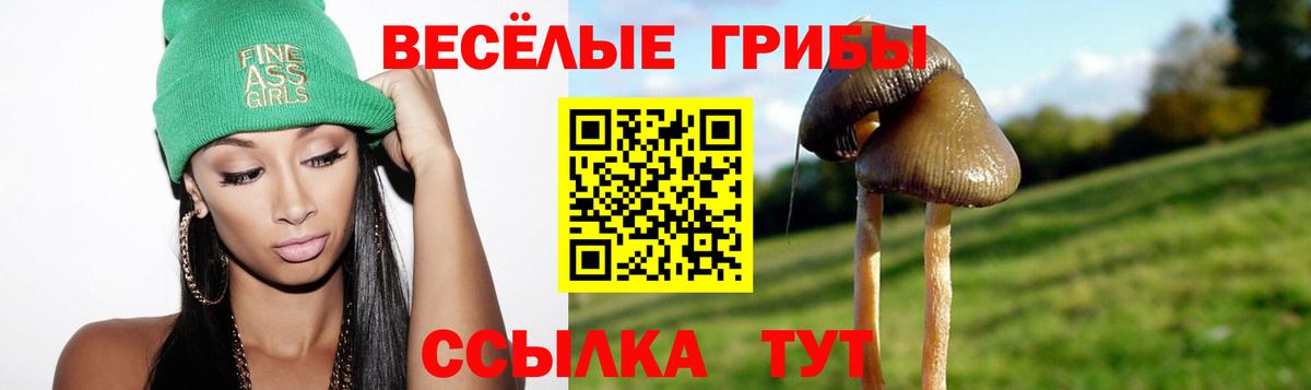 Псилоцибиновые грибы Magic Shrooms  дарнет шоп  Лесной  Вход с VPN 