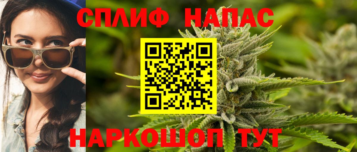 Каннабис Ganja  Марихуана план  МАРИХУАНА MAZAR  Лесной 